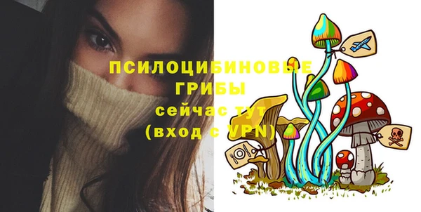 бутират Заводоуковск