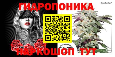 мет Кингисепп
