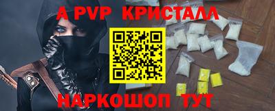 мет Кингисепп