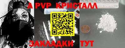 мет Кингисепп