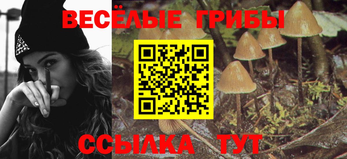 Галлюциногенные грибы Magic Shrooms Саяногорск